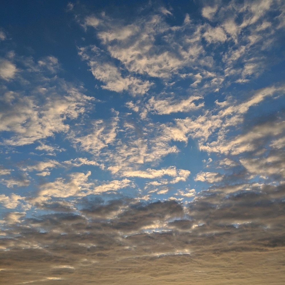 Meet your Posher, Monika